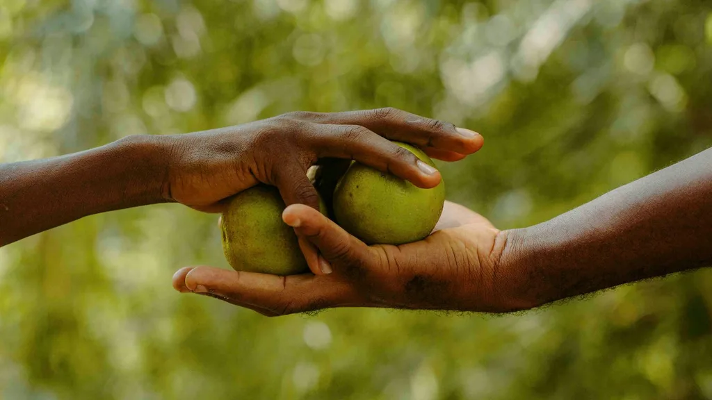 Turning Small Enterprises Into Big Impact
